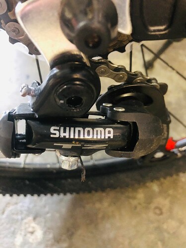shinoma