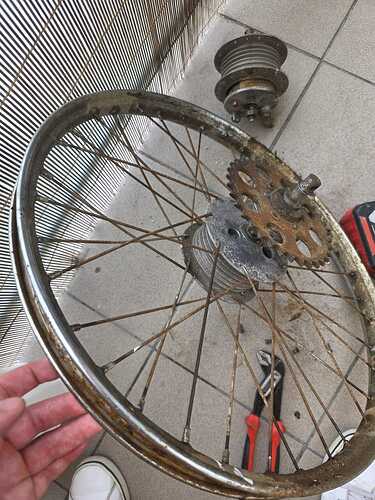 WhatsApp Image 2026-08-14 at 13.57.35 (1)